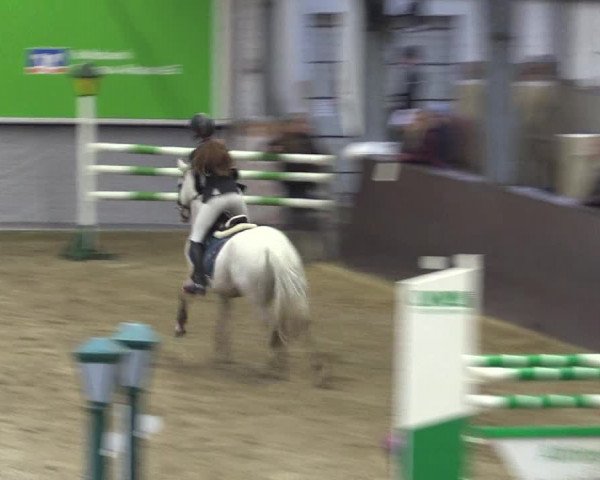 Reitturnier Legden 2019