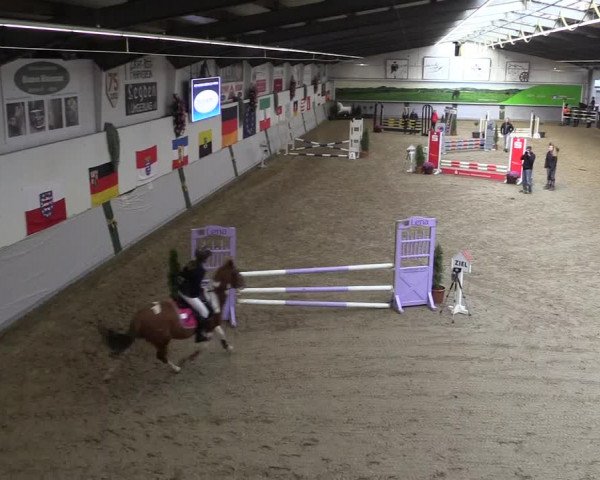 Reitturnier Legden 2019