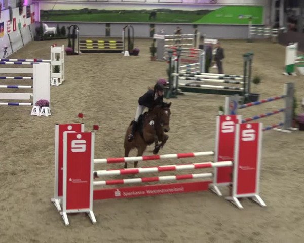 Reitturnier Legden 2019