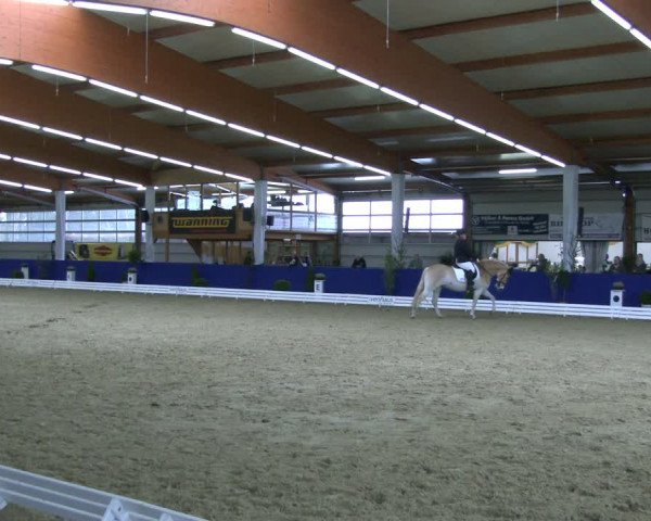Reitturnier Isterberg 2019