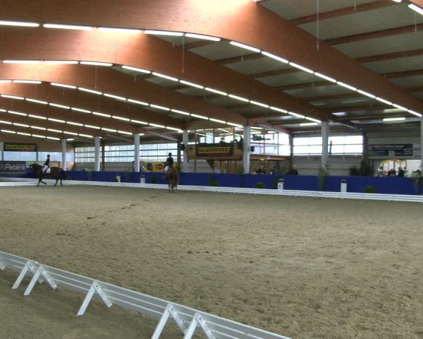 Reitturnier Isterberg 2019