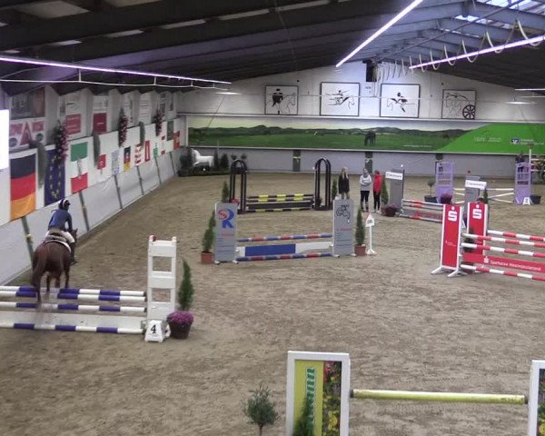 Reitturnier Legden 2019