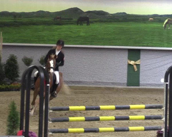 Reitturnier Legden 2019