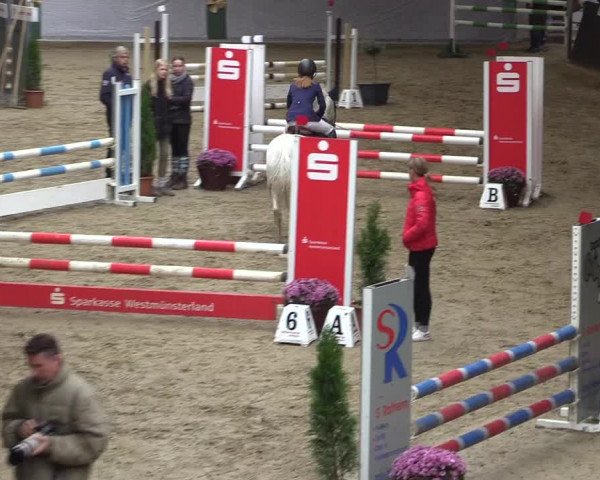 Reitturnier Legden 2019
