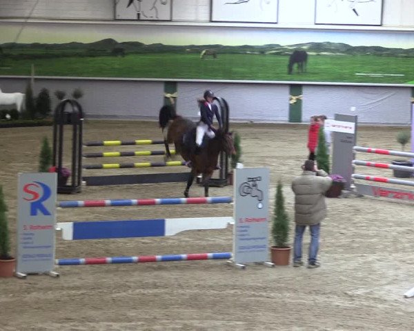 Reitturnier Legden 2019
