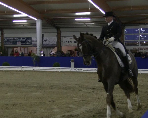 Reitturnier Isterberg 2019