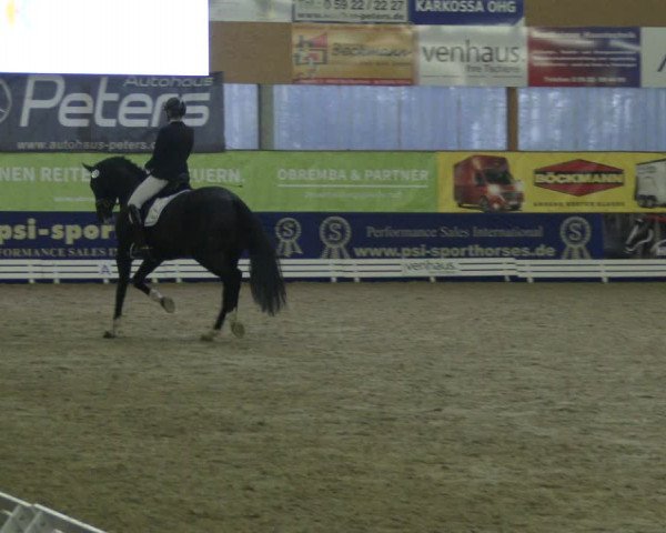 Reitturnier Isterberg 2019