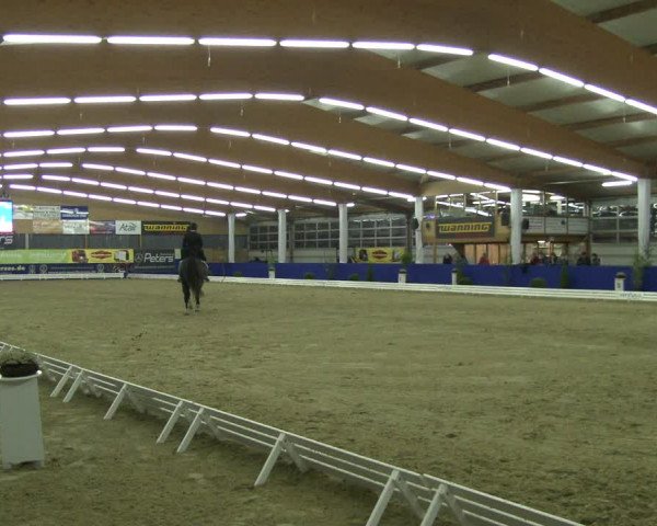 Reitturnier Isterberg 2019