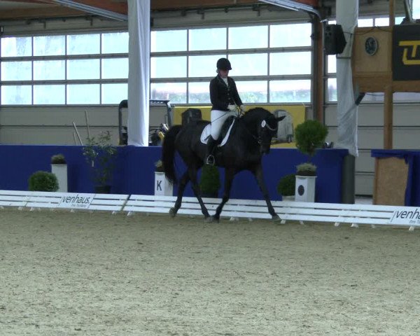 Reitturnier Isterberg 2019