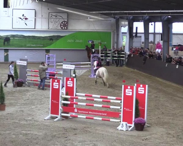 Reitturnier Legden 2019