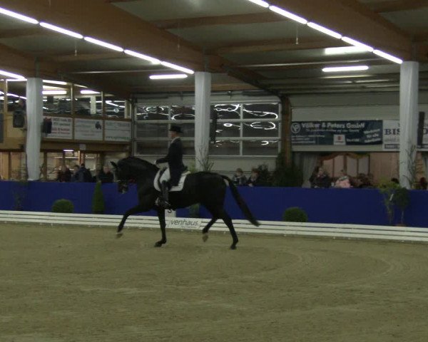 Reitturnier Isterberg 2019