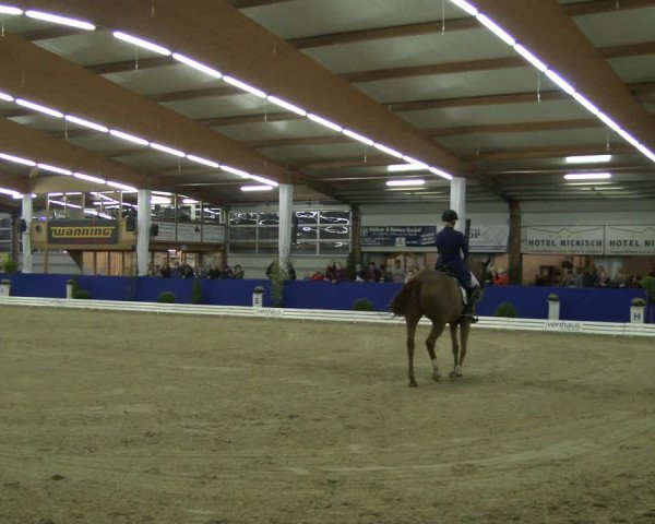Reitturnier Isterberg 2019