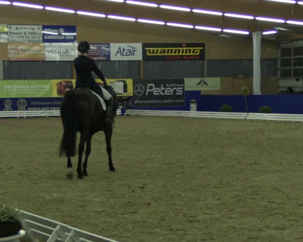 Reitturnier Isterberg 2019