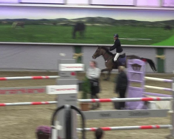 Reitturnier Legden 2019