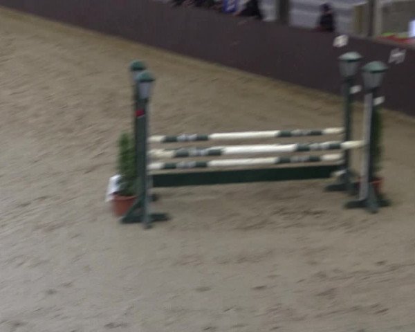 Reitturnier Legden 2019