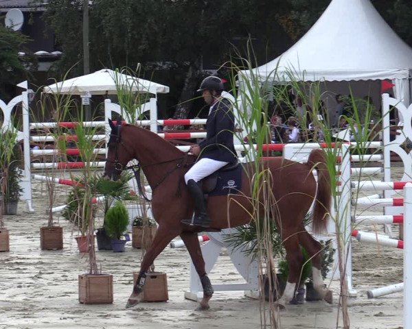 Equus Colonius - Reitanlage Brüse Köln 2021