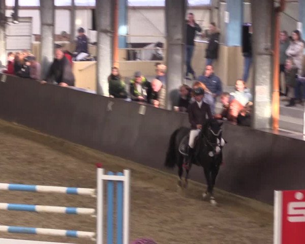 Reitturnier Legden 2019