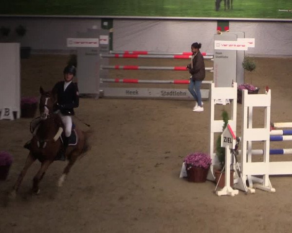 Reitturnier Legden 2019
