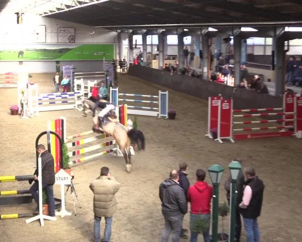Reitturnier Legden 2019