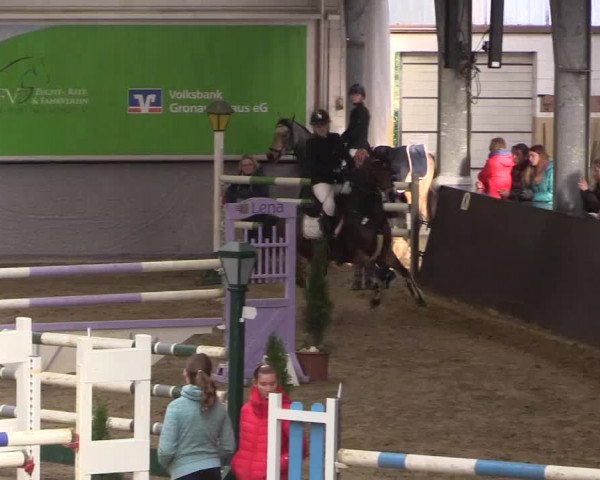 Reitturnier Legden 2019