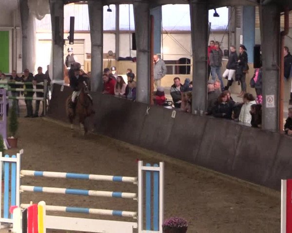 Reitturnier Legden 2019