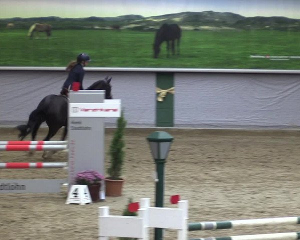 Reitturnier Legden 2019