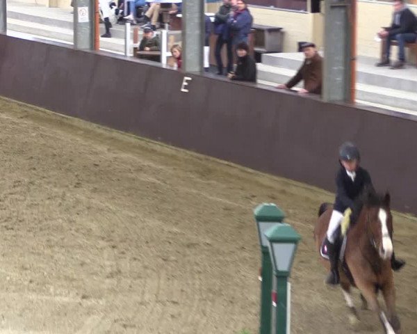 Reitturnier Legden 2019