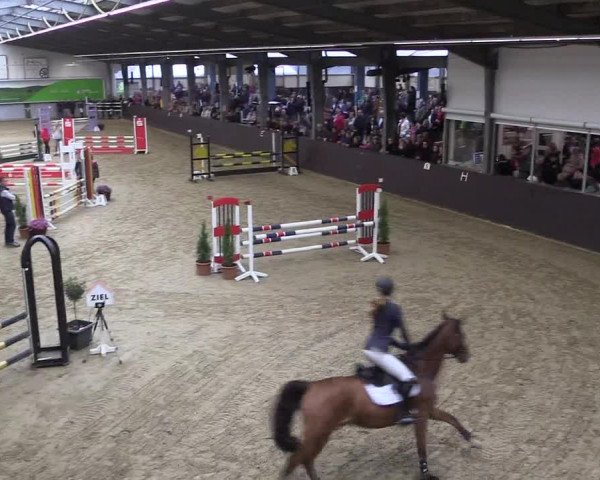 Reitturnier Legden 2019