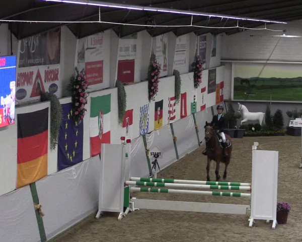Reitturnier Legden 2019