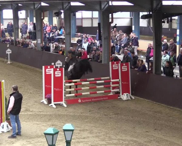 Reitturnier Legden 2019