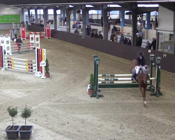 Reitturnier Legden 2019