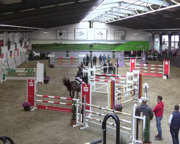 Reitturnier Legden 2019