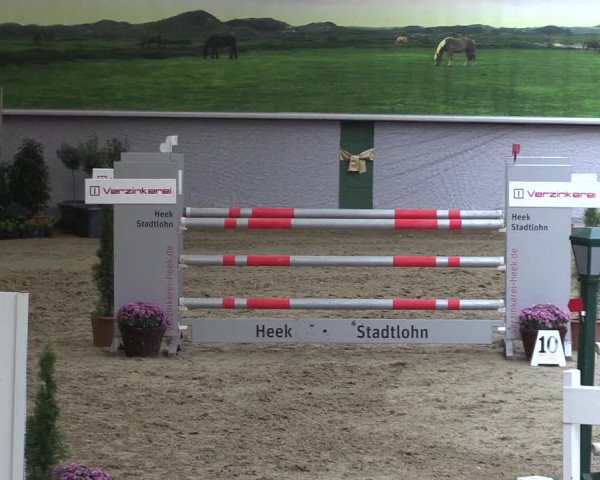Reitturnier Legden 2019