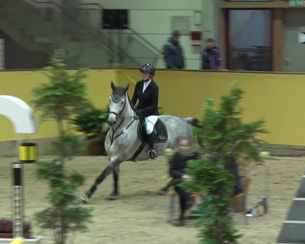 Reitturnier Prussendorf 2019