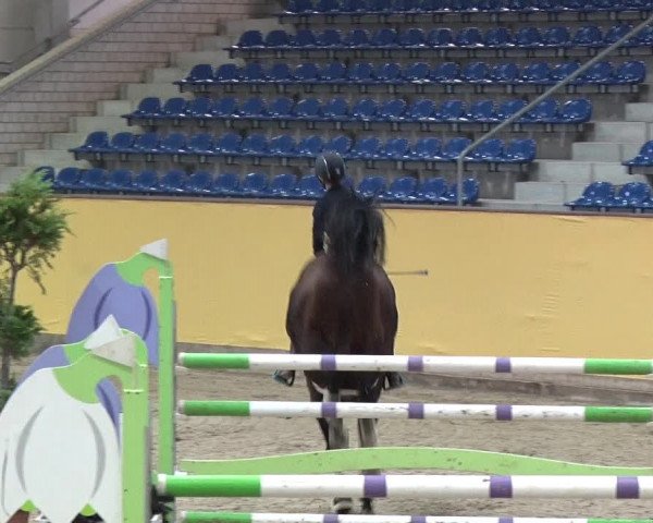Reitturnier Prussendorf 2019