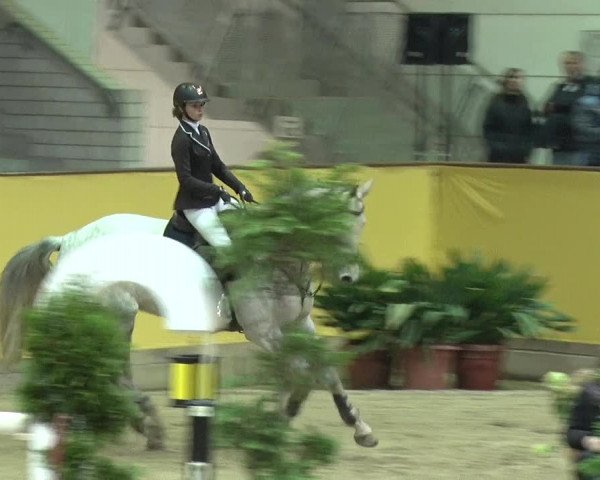 Reitturnier Prussendorf 2019