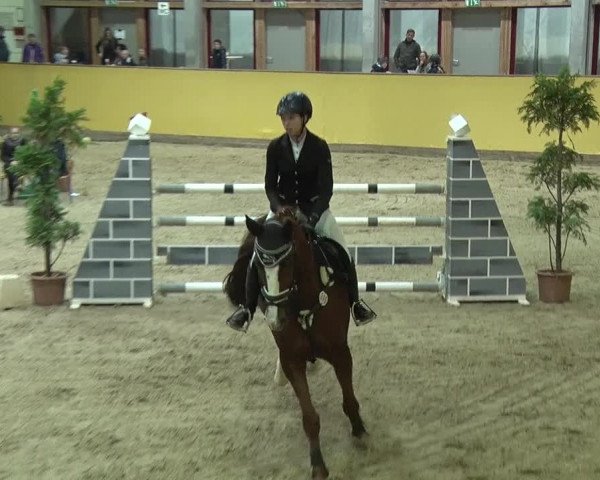 Reitturnier Prussendorf 2019