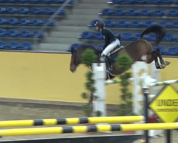 Reitturnier Prussendorf 2019