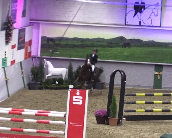 Reitturnier Legden 2019