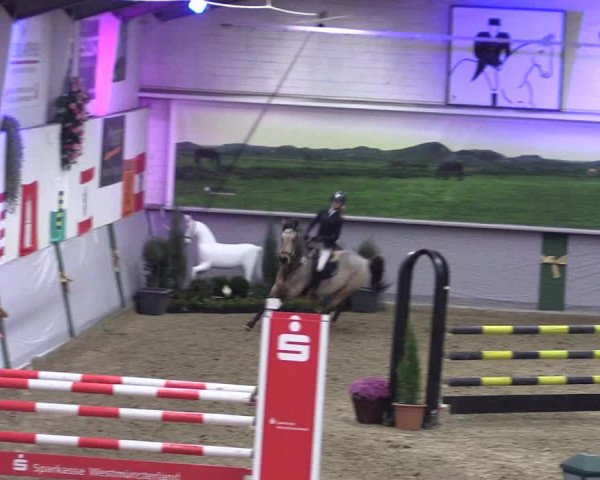 Reitturnier Legden 2019
