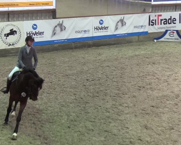 Nordic Jumping events 2019