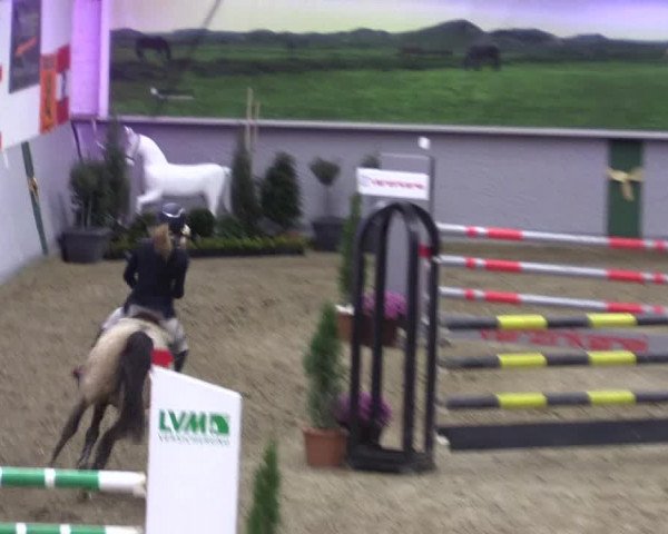 Reitturnier Legden 2019