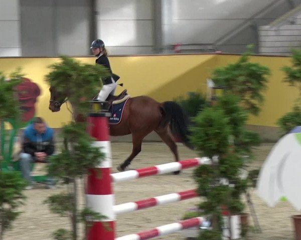 Reitturnier Prussendorf 2019