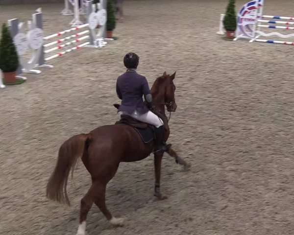 Nordic Jumping events 2019