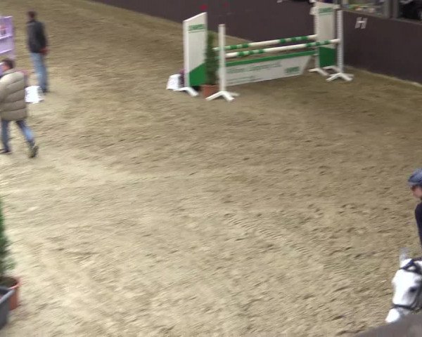Reitturnier Legden 2019