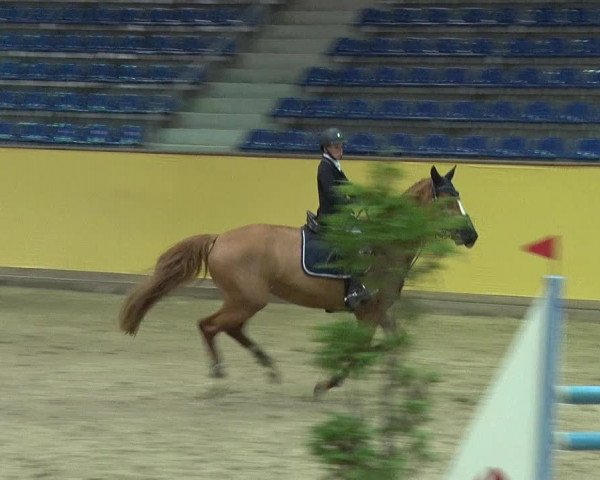 Reitturnier Prussendorf 2019