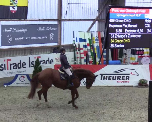 Nordic Jumping events 2019