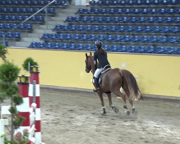 Reitturnier Prussendorf 2019