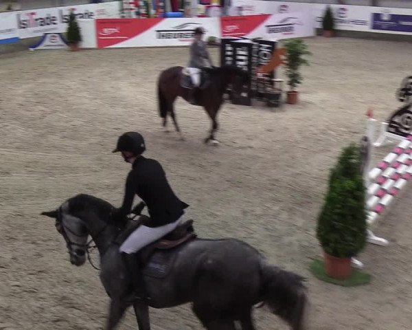 Nordic Jumping events 2019