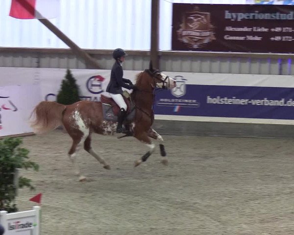 Nordic Jumping events 2019